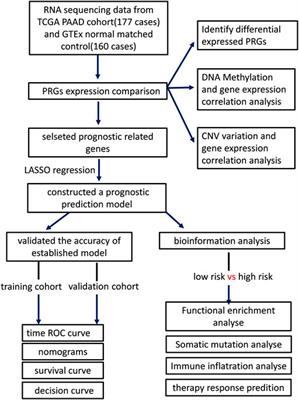 A pyroptosis-related gene signature for prognosis and immune microenvironment of pancreatic cancer
